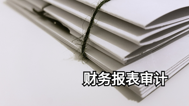 天津企业财务报表审计收费标准 中税正洁税务师事务所供应