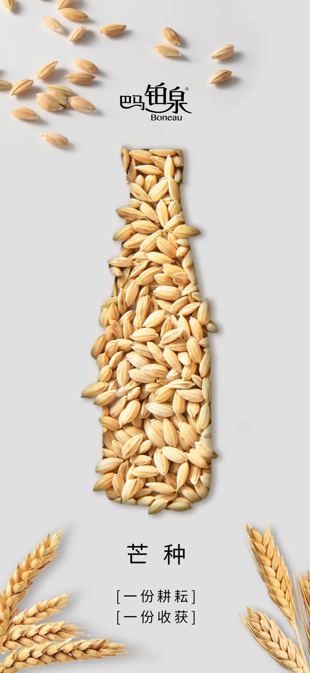 芒種海報.jpg 芒種海報.jpg