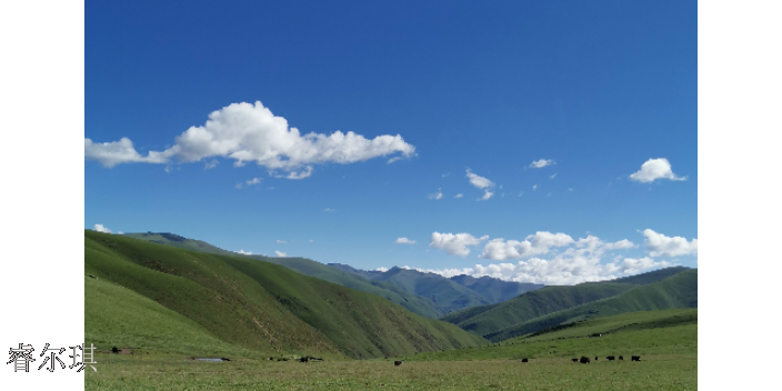 西藏农业大数据平台建设方案 值得信赖 四川睿尔琪科技供应