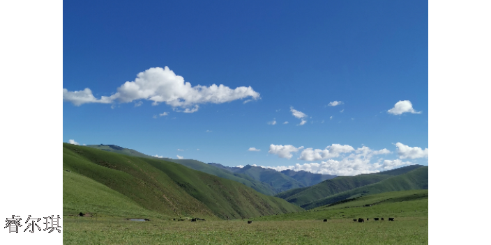 新疆牦牛养殖险风控平台架构
