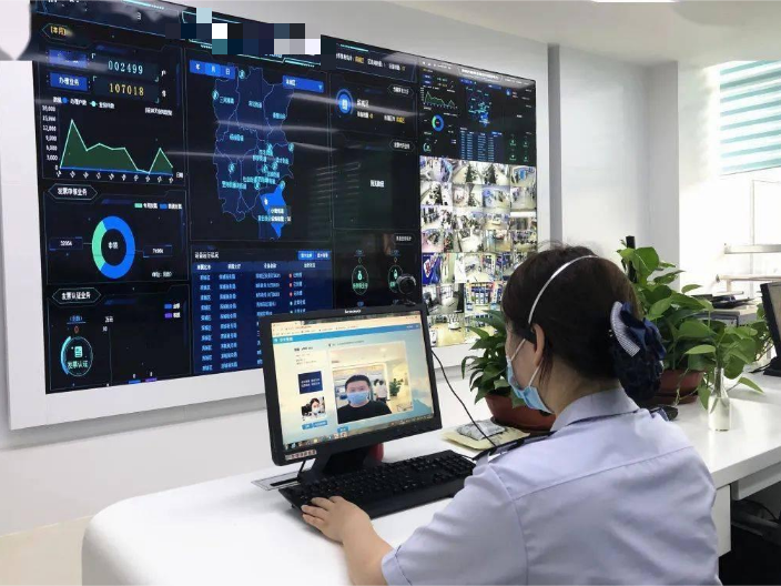 上海远程帮办软件 上海途悠信息科技供应