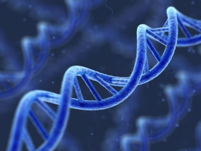 泉州DNA亲子检测服务 福建法泽鉴识科技供应