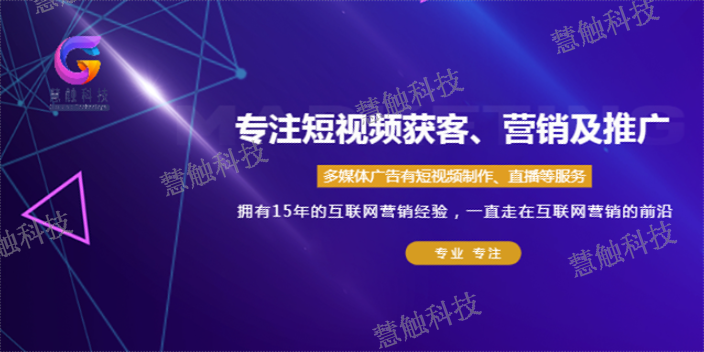 金凤区数字营销特点 慧触信息科技供应