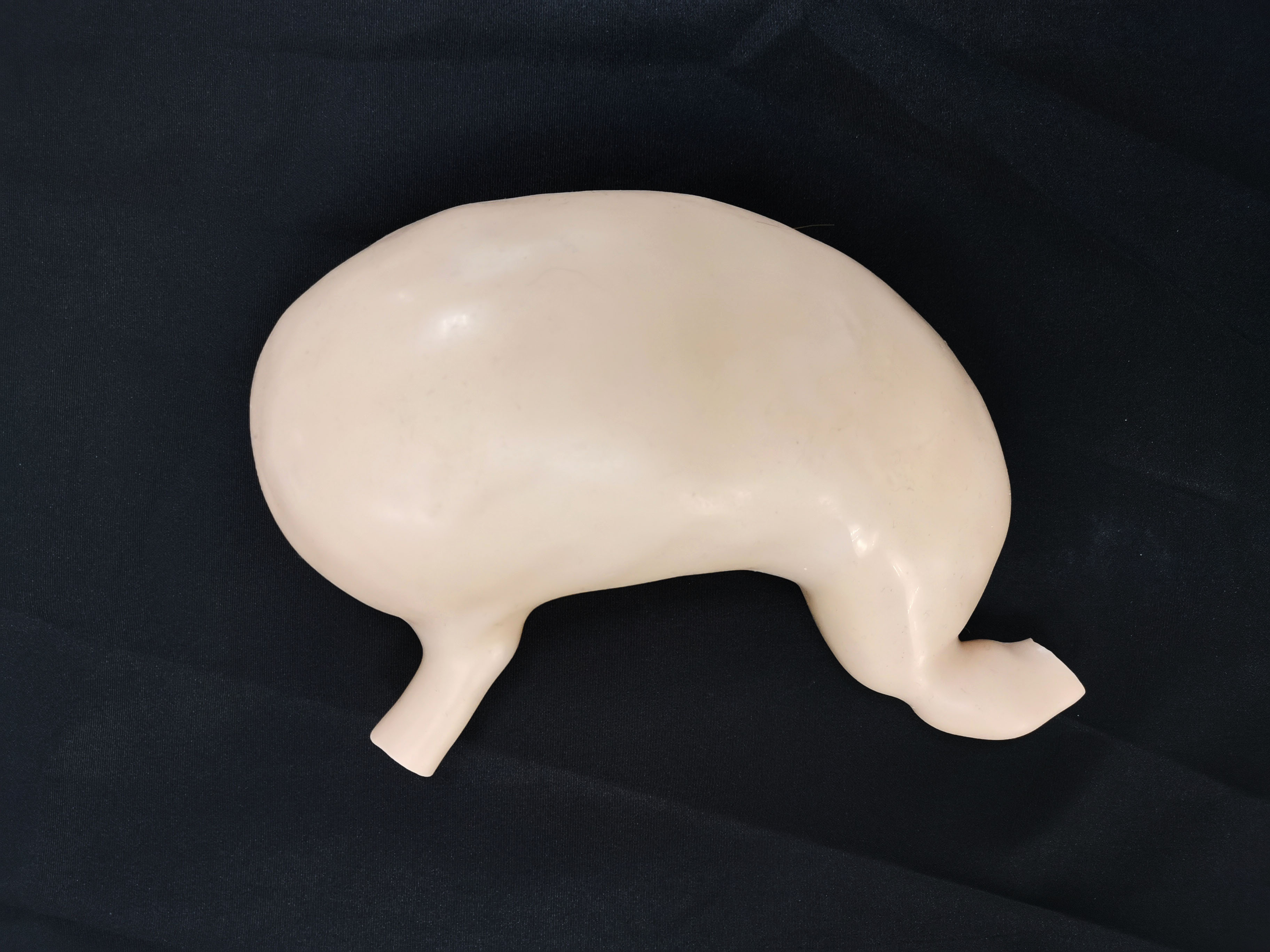 上医宝松堂牌胃模型-上海胃模型生产厂家-上海宝松堂