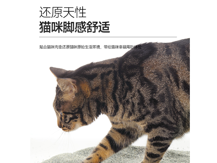 郑州除臭猫砂哪里有卖 上海蓝钻宠物用品供应