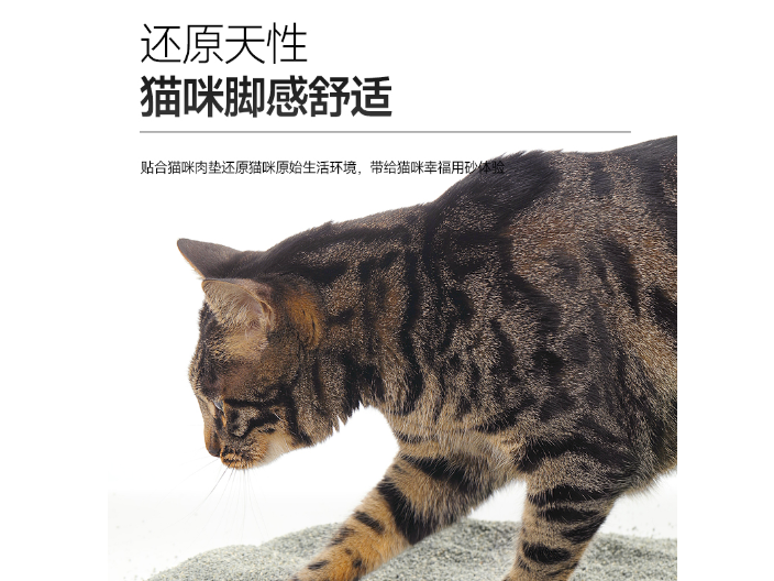 深圳仓鼠猫砂批发厂商