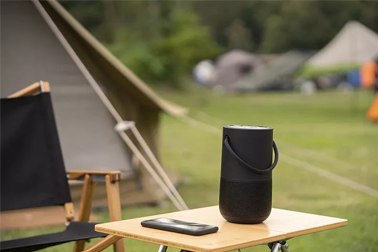 微型駐極體傳聲器的特點(diǎn)解析