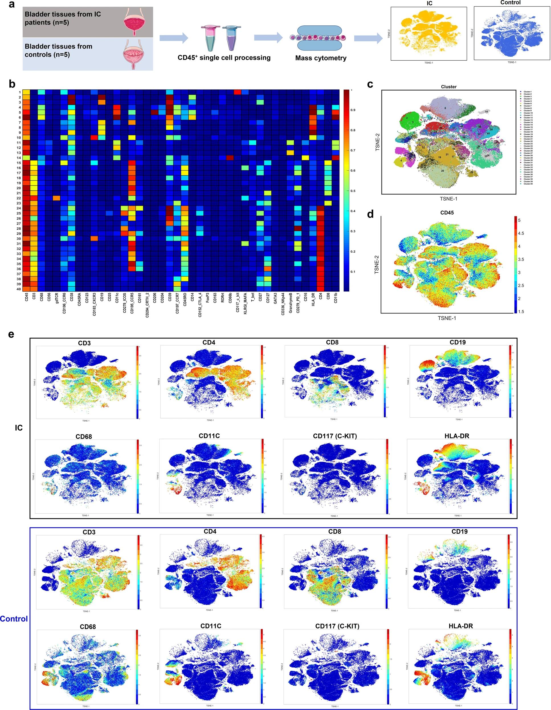 figure4.jpg