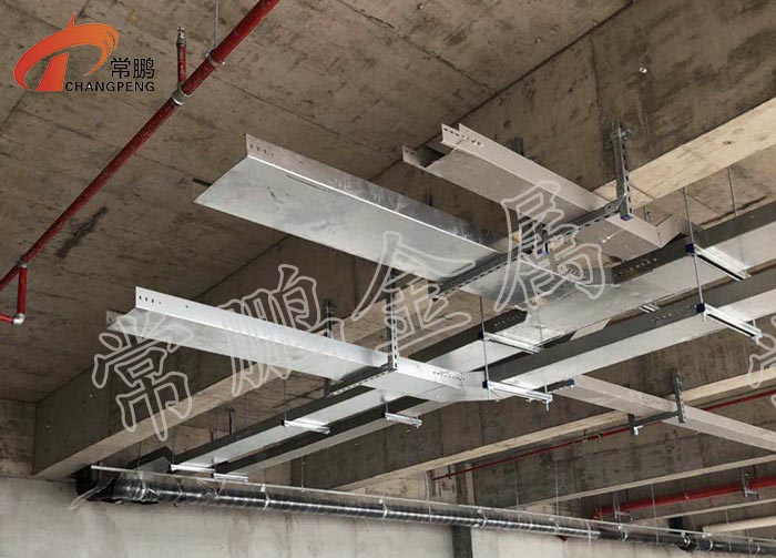 090002.jpg 090002.jpg