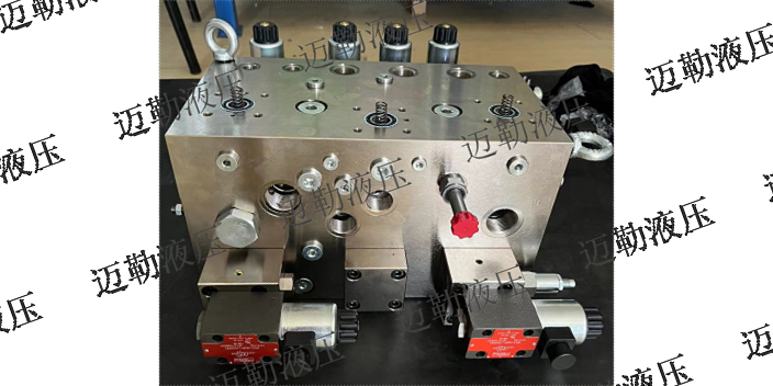 新疆橡塑机械阀组销售 高新企业 上海迈勒液压技术供应