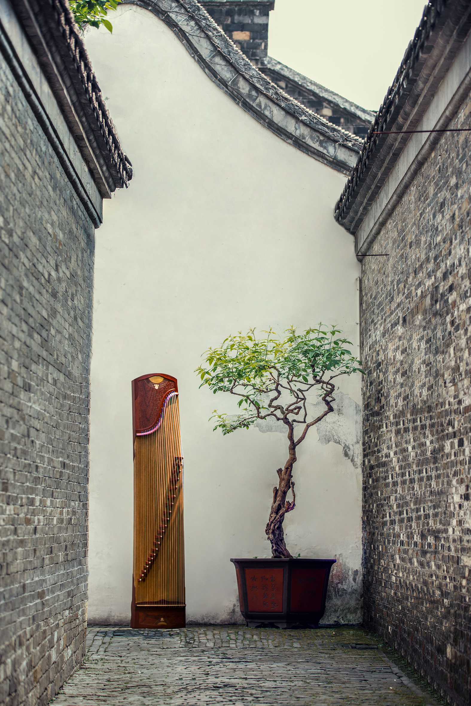 仲尼古箏子衿