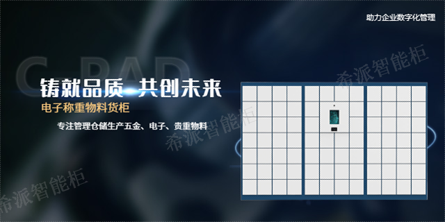 重庆存包存储柜生产厂家 诚信为本 江苏希派智能柜供应