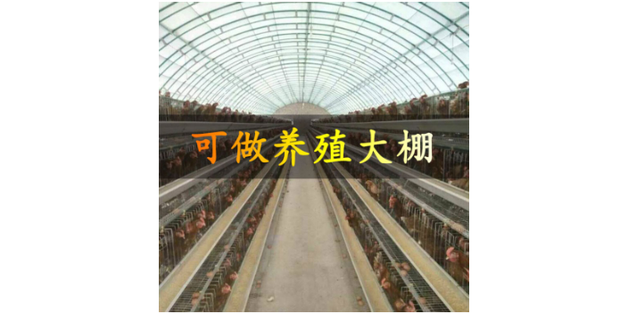 佛山PVC塑料薄膜生產  廣東長腿牛薄膜科技供應