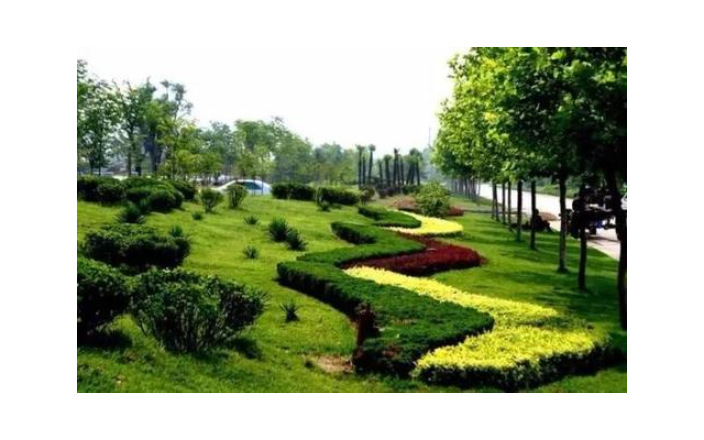 苏州创意绿植景观,绿植