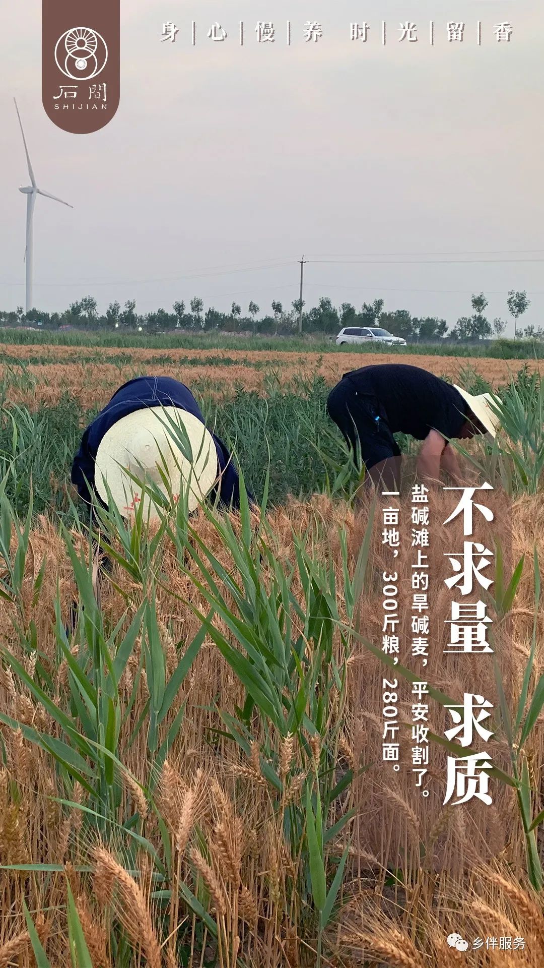 香港五点来料资料