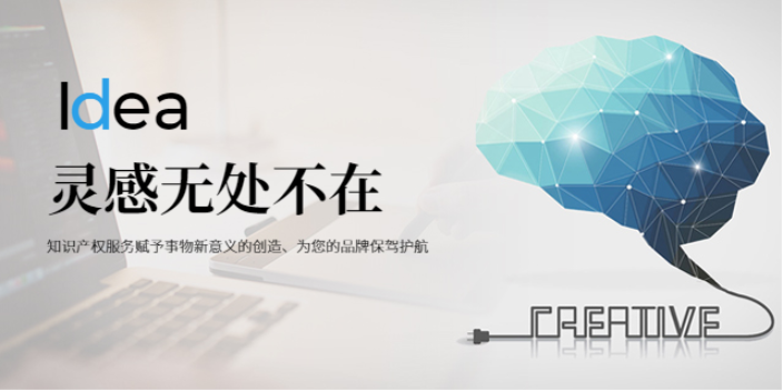 上海文化公司變更流程及費用 上海明日之星供應