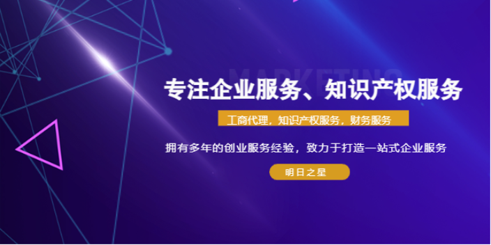 上海科技公司注册材料 上海明日之星供应