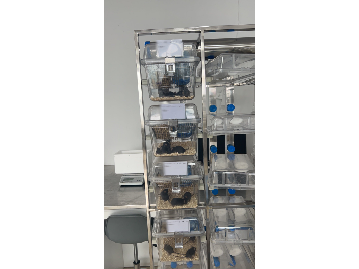 上海實驗設計 上海睿寶和生物科技供應