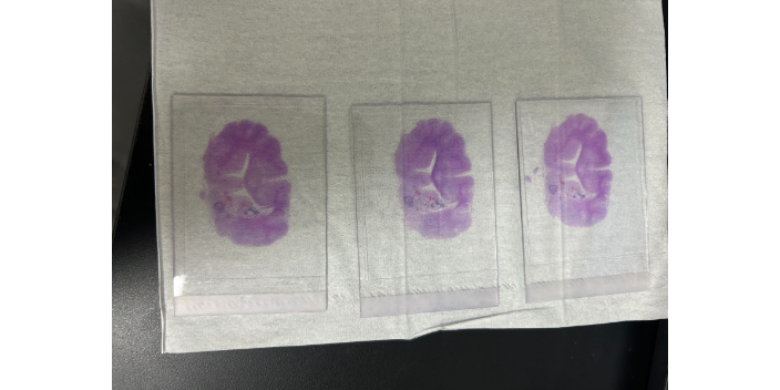 江蘇番紅固綠掃描服務(wù) 上海睿寶和生物科技供應(yīng)