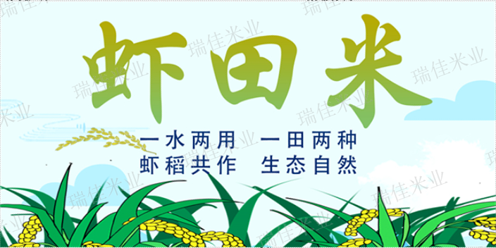 青浦区生态大米批发价 上海瑞佳米业供应