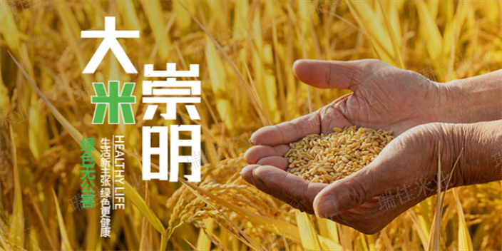 黄浦区地理标志大米代理 上海瑞佳米业供应