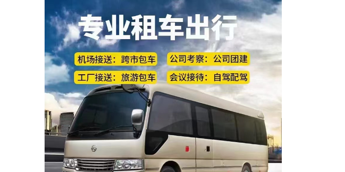 阳江服务中巴车哪几种