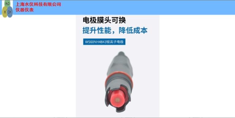 徐汇区智能在线铵离子电极批发 上海市水仪科技供应