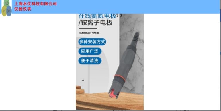 浦东新区专业在线铵离子电极咨询报价 上海市水仪科技供应