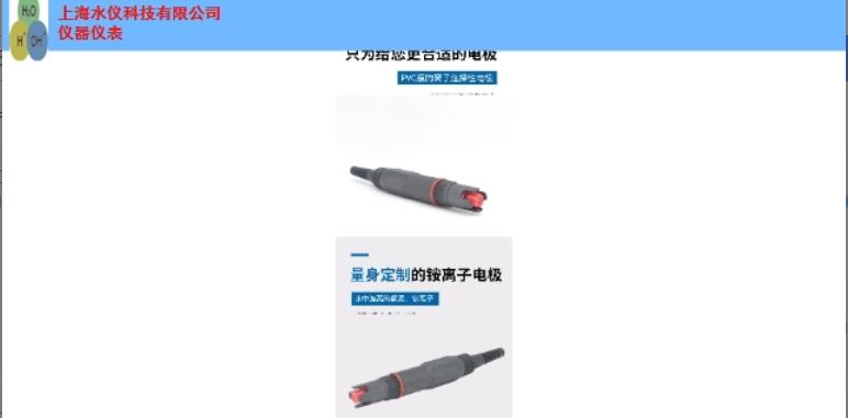 上海专业在线铵离子电极厂家 上海市水仪科技供应