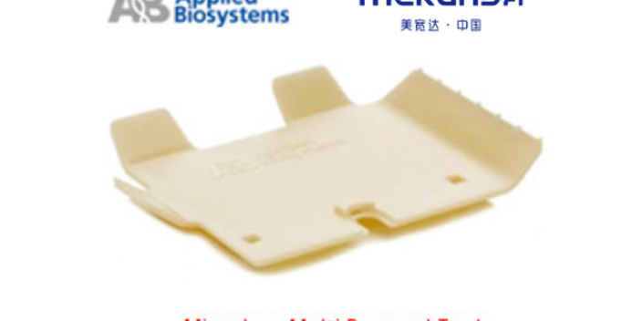 天津荧光计thermoMiniamp Plus	梯度PCR仪 常州美宽达电子电器销售供应