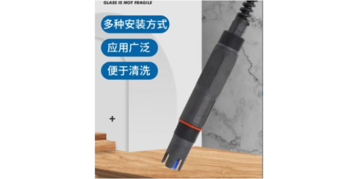奉贤区口碑好的工业在线钙离子电极报价 上海市水仪科技供应