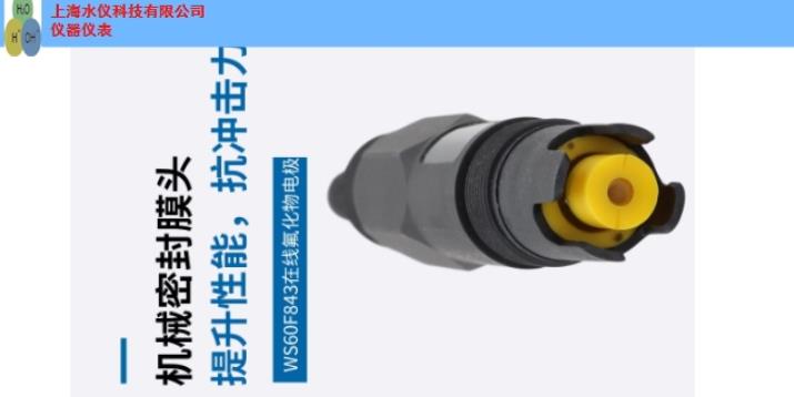 浦东新区标准在线氟离子电极销售 上海市水仪科技供应