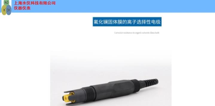 杨浦区标准在线氟离子电极报价 上海市水仪科技供应