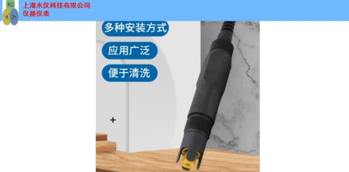 奉贤区常用在线氟离子电极销售 上海市水仪科技供应