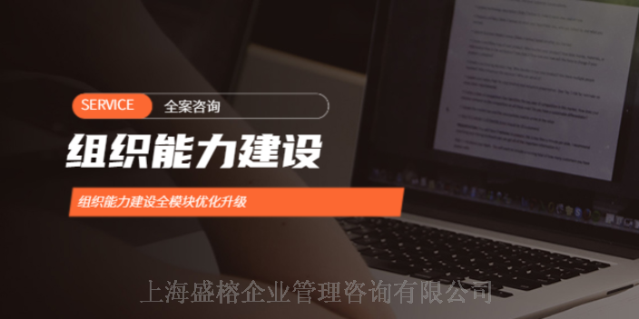 杨浦区薪酬管理咨询费用 推荐咨询 上海盛榕企业管理咨询供应