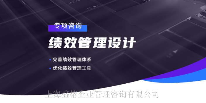 松江区薪酬管理咨询哪个好 欢迎来电 上海盛榕企业管理咨询供应