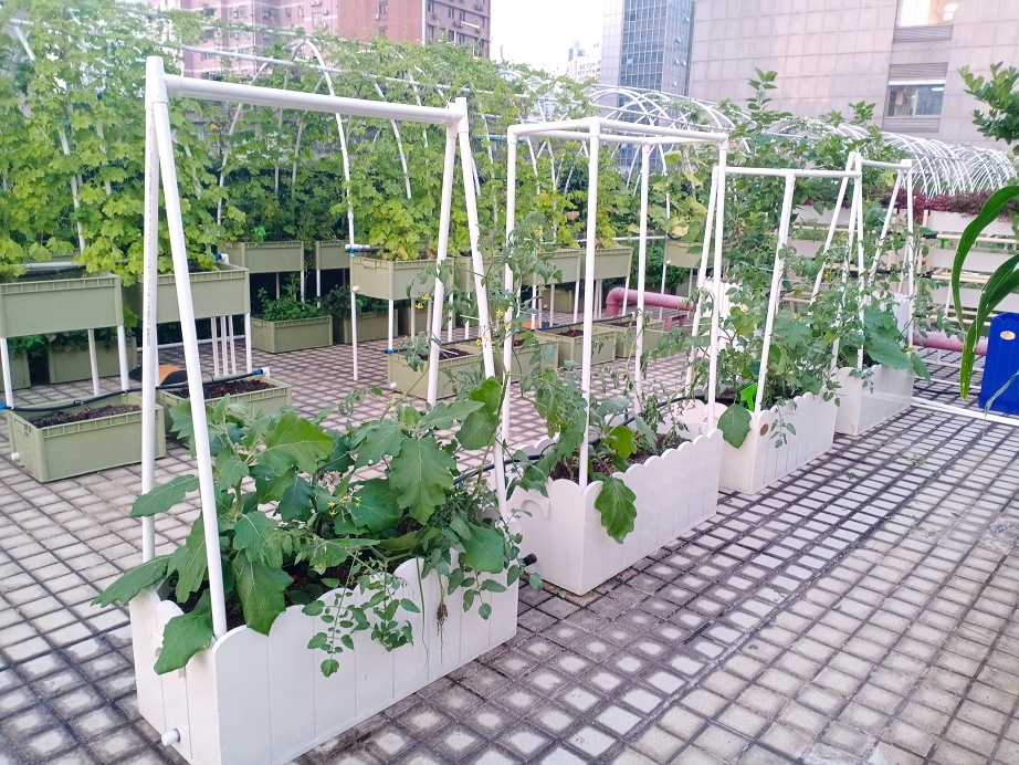 深圳物联网生态农业规划,都市农业