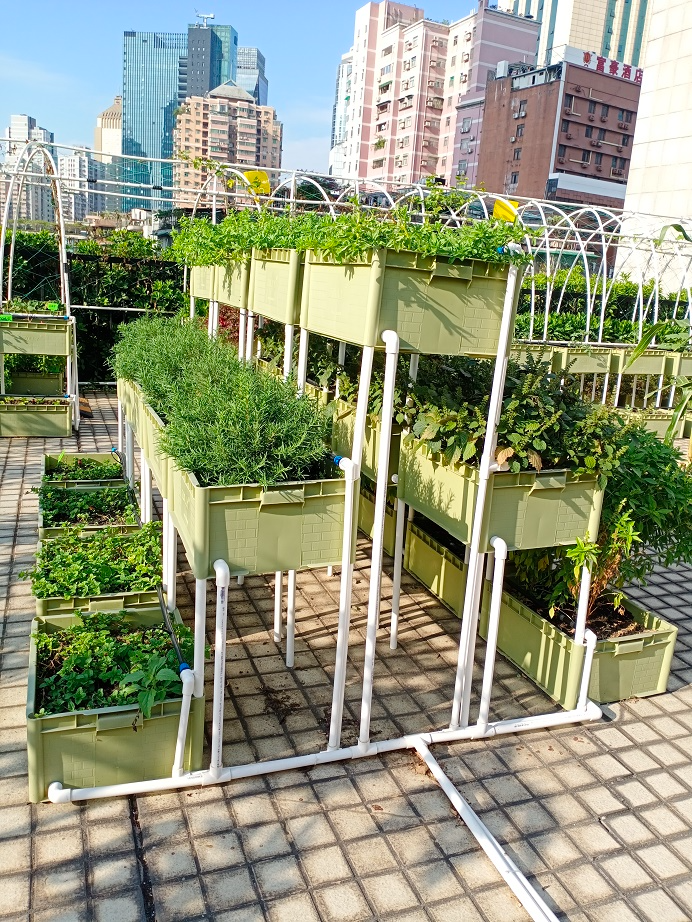 阳江市都市生态农业优点 服务为先 广东三合重农科技供应;