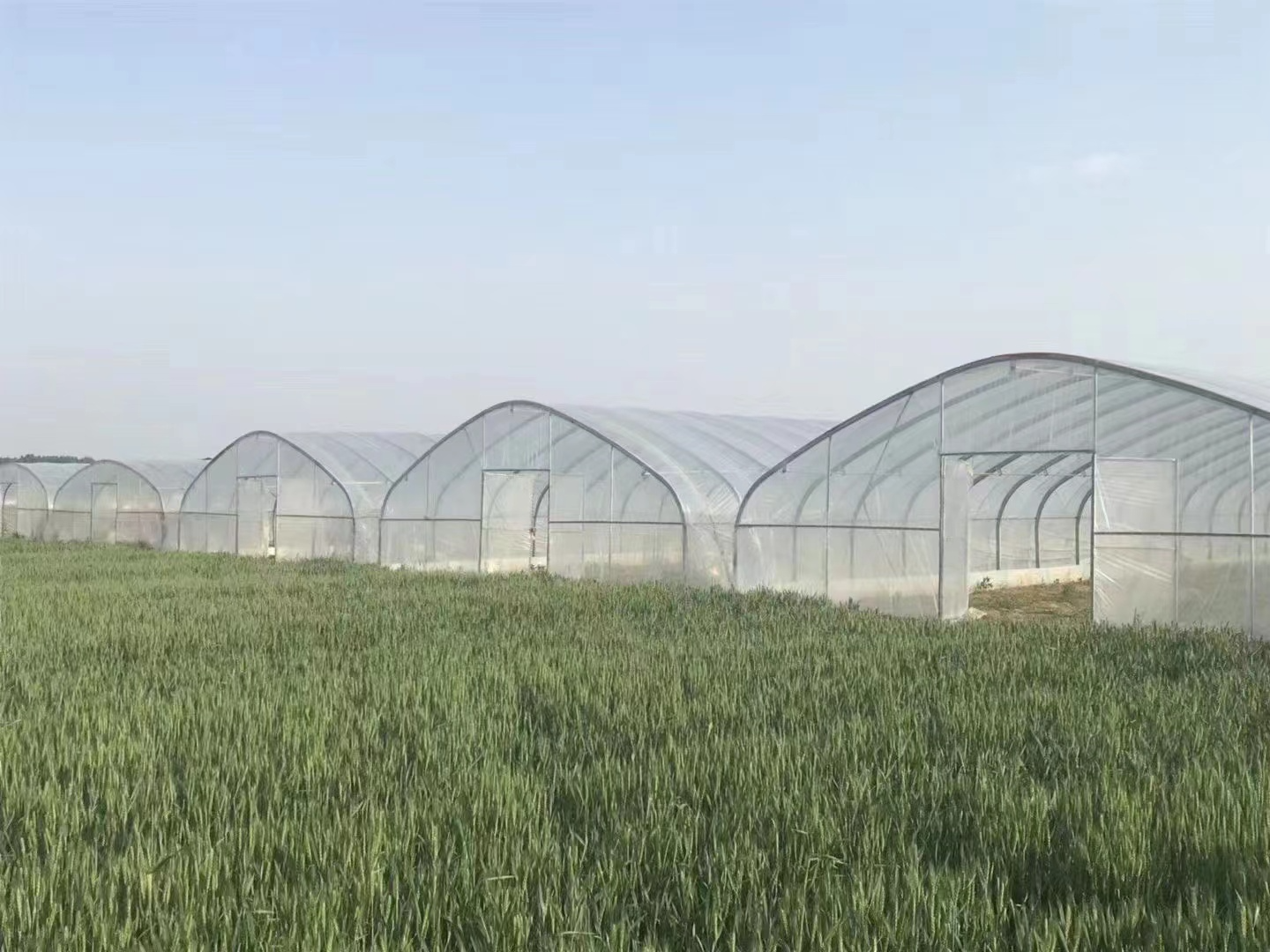 上海玻璃智能温室大棚工程 服务为先 广东三合重农科技供应