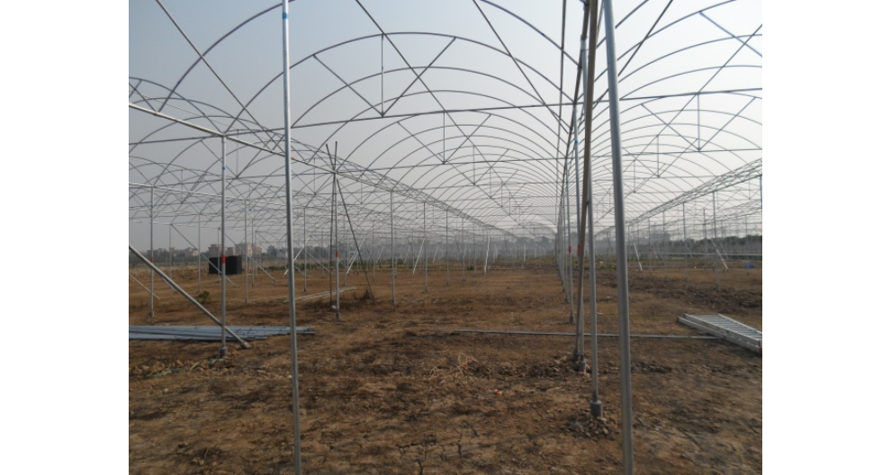 安徽日光智能温室大棚建设方案 服务为先 广东三合重农科技供应;