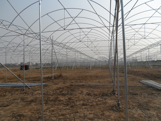 四川玻璃智能溫室大棚建設方案 服務為先 廣東三合重農科技供應