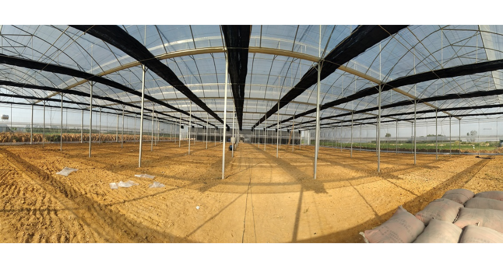 山东农业智能温室大棚建造 服务为先 广东三合重农科技供应