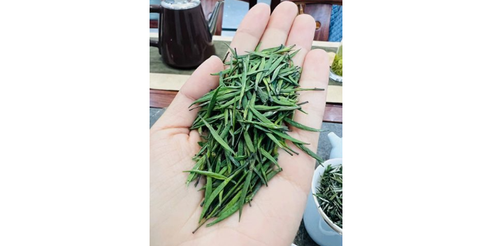 温州竹筒茶