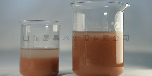 上海反硝化细菌哪家好 晟昊水处理供应