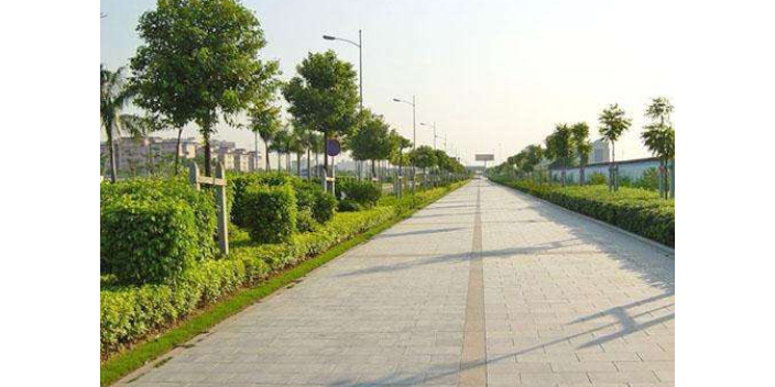 徐汇区园林绿化工程