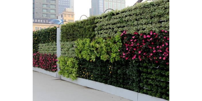 上海公司绿化环境