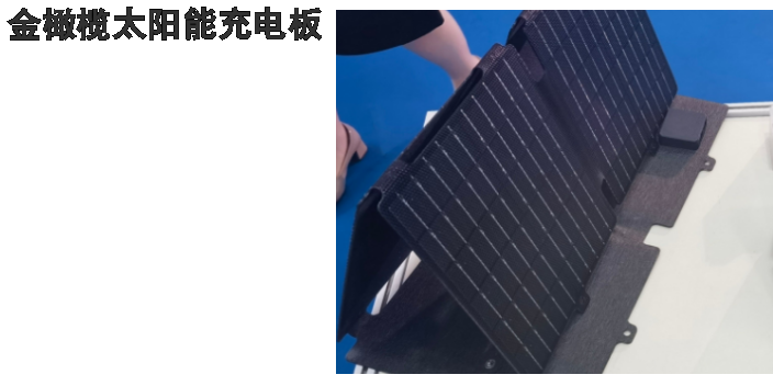 河北200W40W可折疊式太陽能充電板廠家現(xiàn)貨