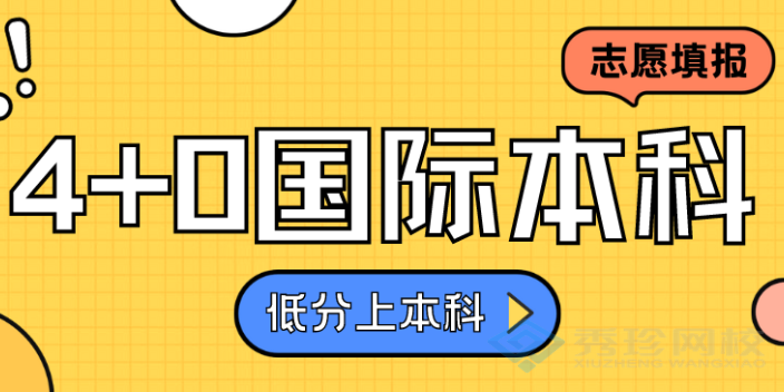 济南专业的国际本科报名机构 秀珍教育科技供应