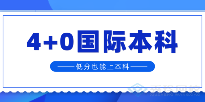 济南专业的国际本科哪个正规 秀珍教育科技供应