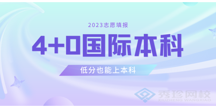 济南专业的国际本科哪个正规 秀珍教育科技供应